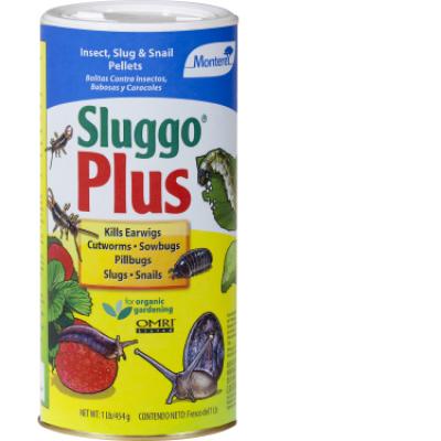 SLUGGO PLUS MONTEREY 1 LB
