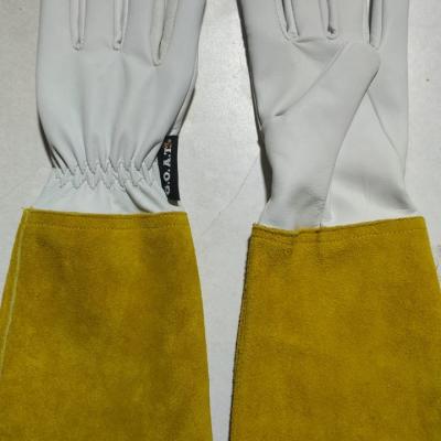 Goatskin Rose Gardener Mens GOAT GLOVES ASSORTED MEDIUM