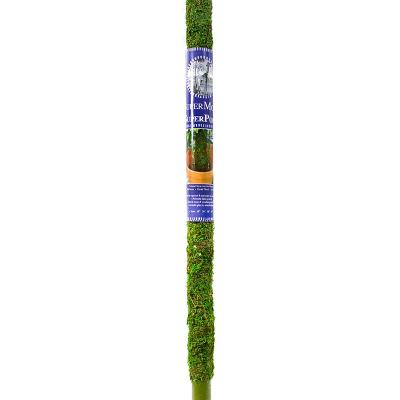 MOSS POLE GREEN MOSS 30"