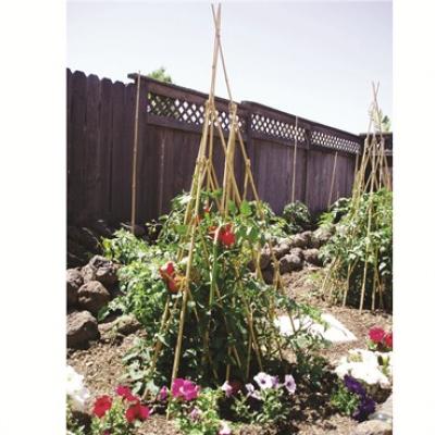BAMBOO TEEPEE TRELLIS BOND 60"